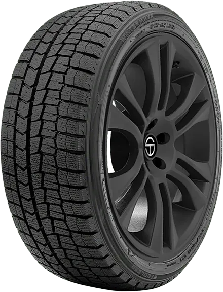 Dunlop Winter Maxx 2