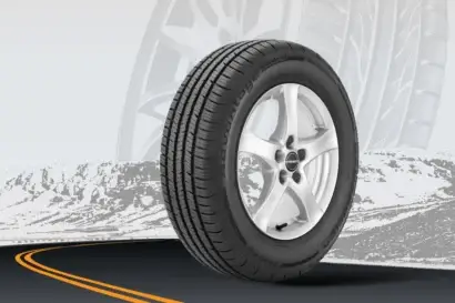 BFGoodrich Advantage Control Review