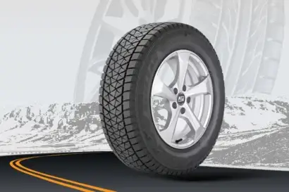 Bridgestone Blizzak DM-V2 Review