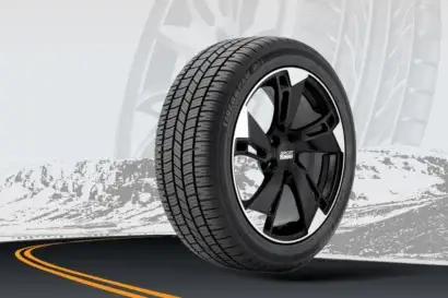 Uniroyal Tiger Paw AWP3 Review